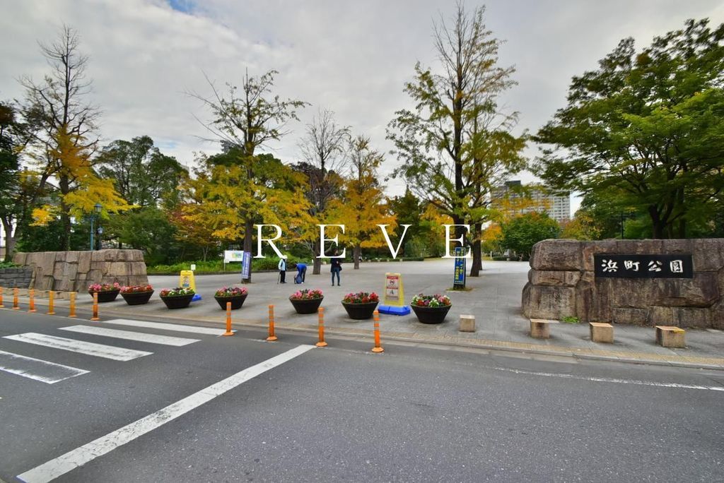 公園　浜町公園（公園）まで310m