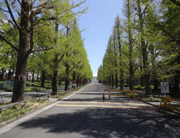 大学・短大　慶應義塾大学 日吉キャンパス（大学・短大）まで1092m