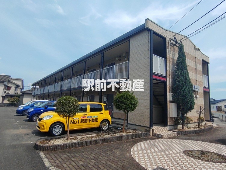 レオパレステラス花みずき