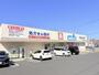 ドラックストア　ウエルシア佐倉大崎台店（ドラッグストア）まで554m