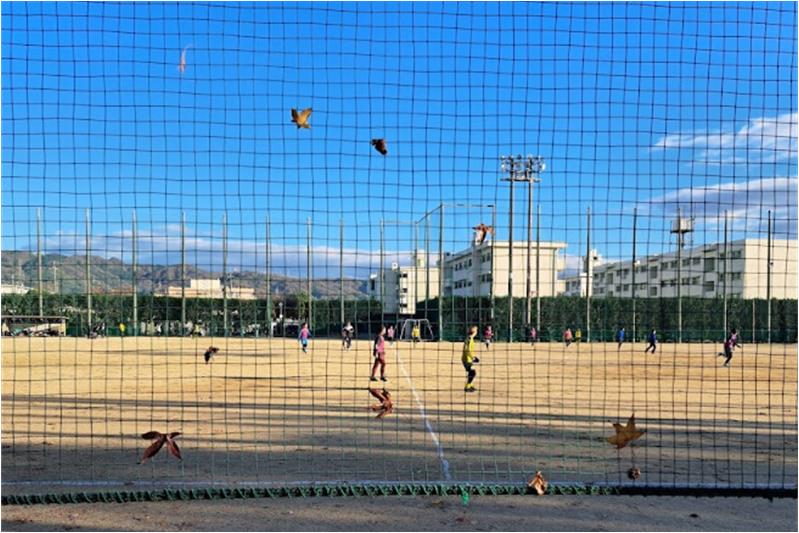 その他　八尾市立 青少年運動広場（その他）まで1190m