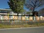 幼稚園・保育園　大桜保育園（幼稚園・保育園）まで700m