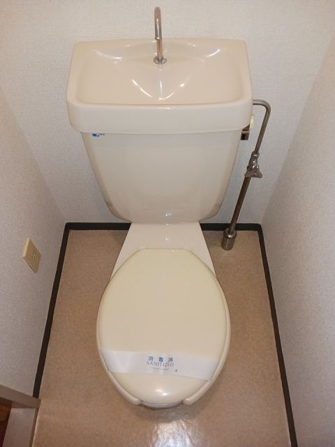 ニューシティ嶋根Aのトイレ写真