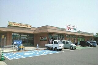 ドラックストア　レデイ薬局十川店さん（ドラッグストア）まで1530m