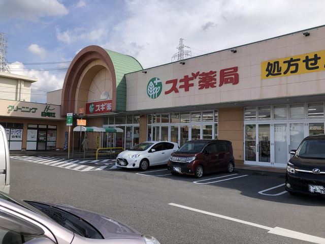 ドラックストア　スギ薬局（ドラッグストア）まで750m