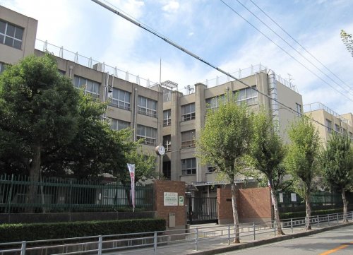 小学校　新北島小学校（小学校）まで495m