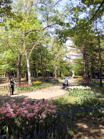 その他　円山公園（その他）まで280m