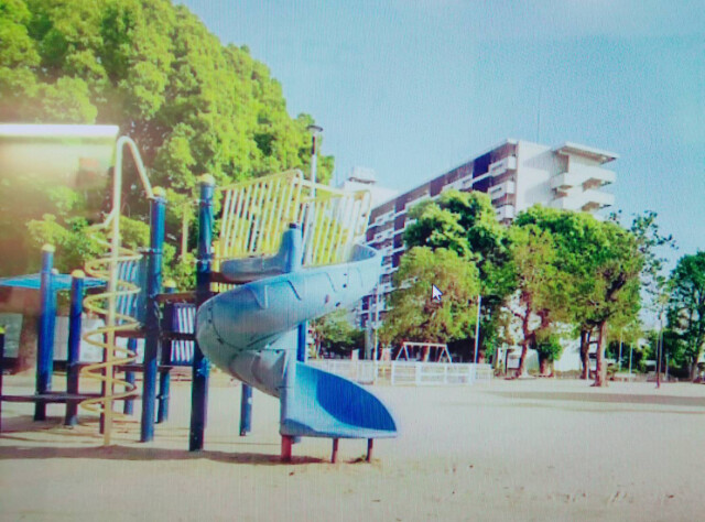 公園　大隅公園（公園）まで110m