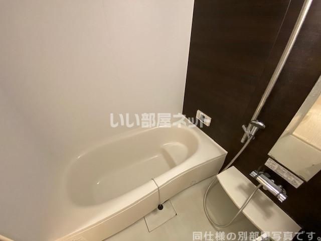 ロイヤル飛鳥Iの風呂写真