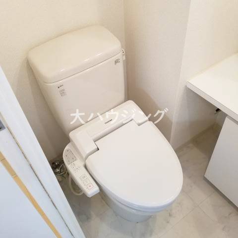 ブライズ東雪谷アジールコートのトイレ写真