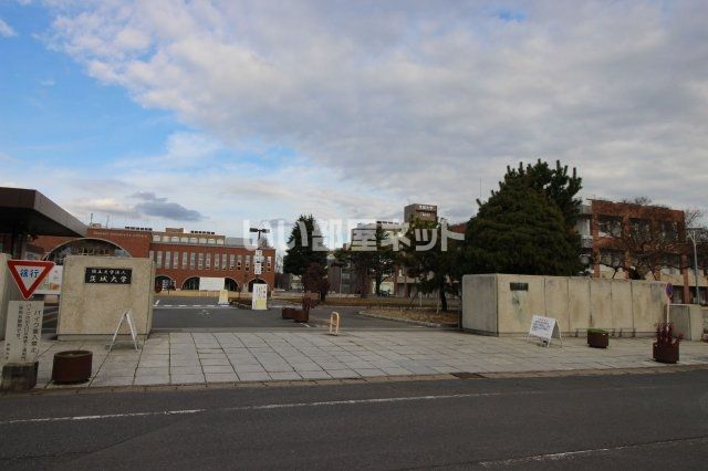 大学・短大　茨城大学（大学・短大）まで525m