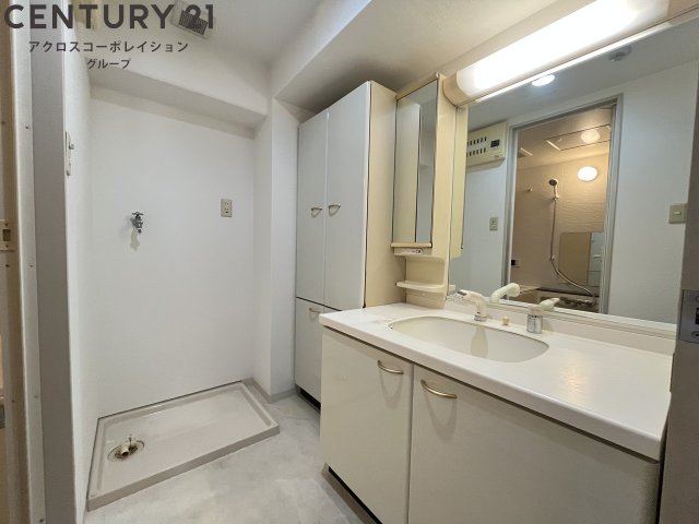 洗面設備　収納豊富