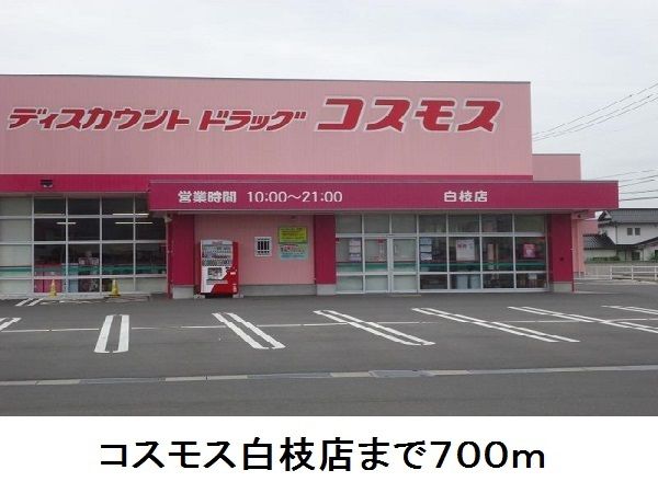 ドラックストア　コスモス白枝店（ドラッグストア）まで700m