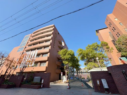 大学・短大　東大阪大学・東大阪大学短期大学部（大学・短大）まで558m