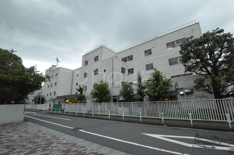 小学校　新宿小学校（小学校）まで614m