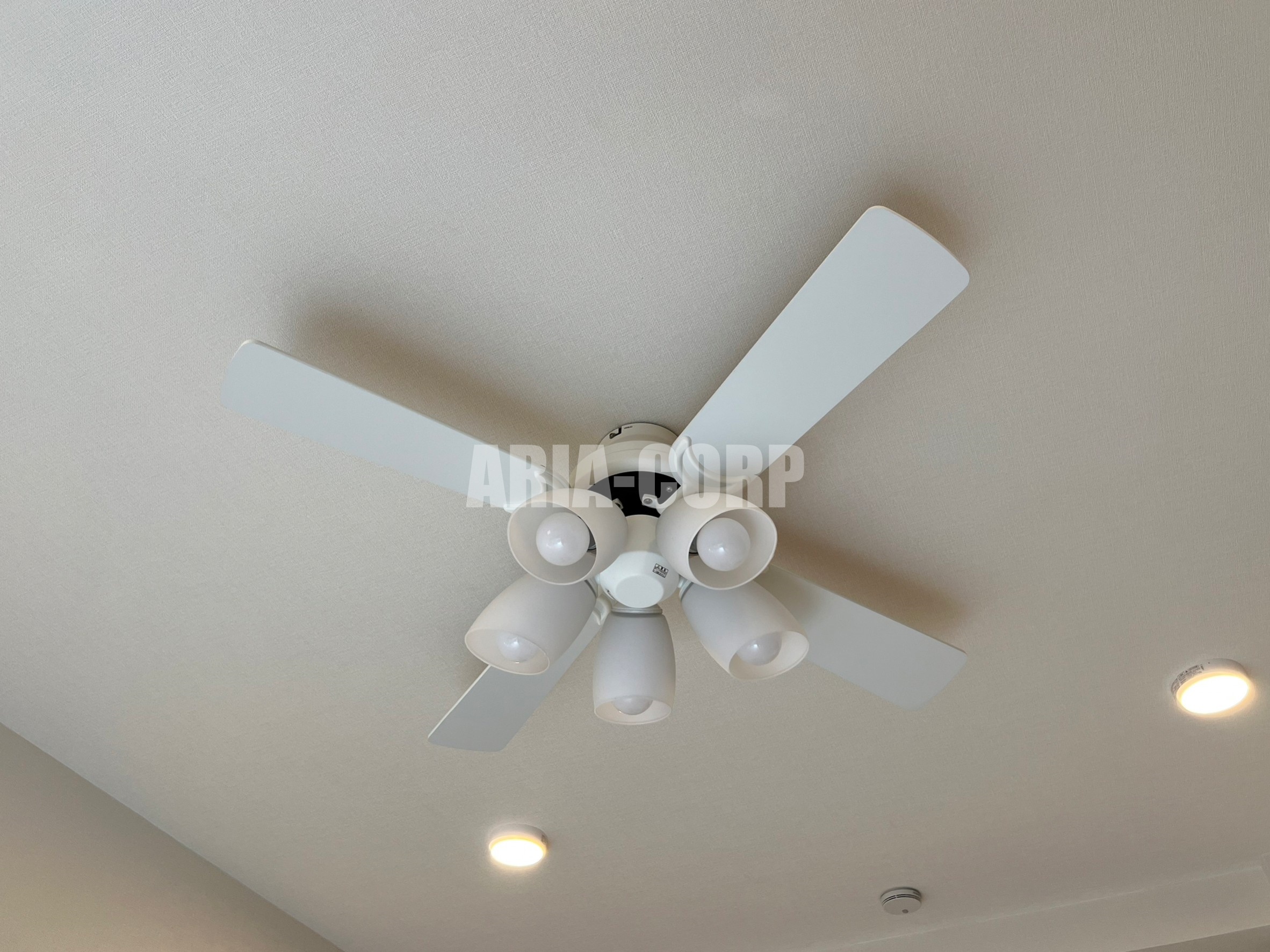 その他設備　シーリングファン設置済みでエアコンの風も隅々まで効きます！