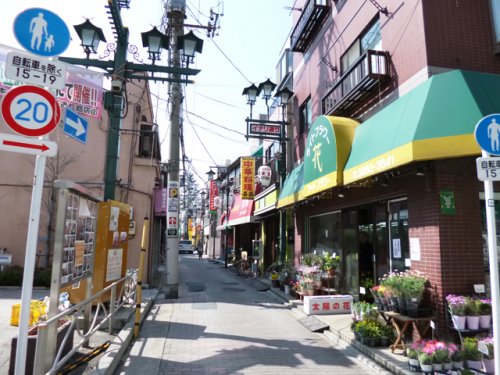 その他　板橋イナリ通り商店街（その他）まで305m
