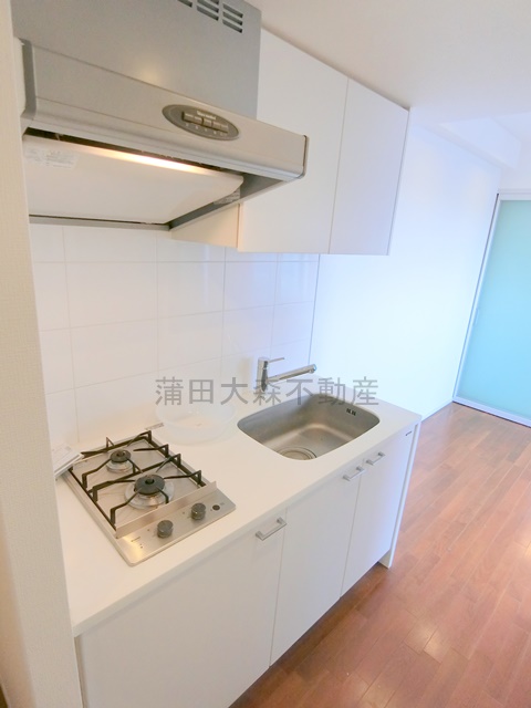 キッチン　2口ガスシステムキッチン