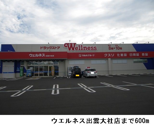 ドラックストア　ウエルネス出雲大社店（ドラッグストア）まで600m