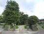 公園　丸池公園（公園）まで732m