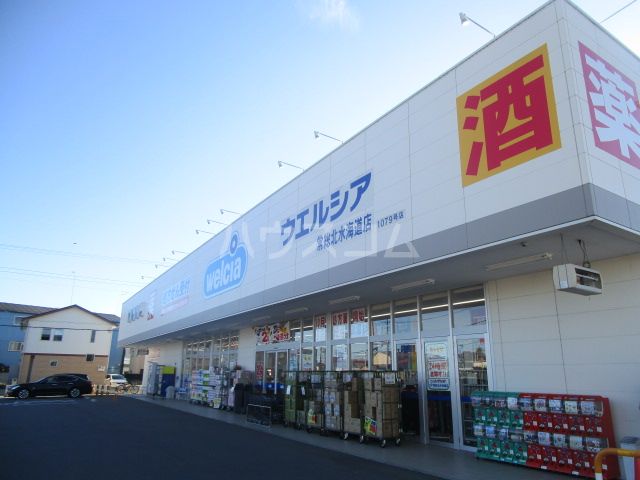 ドラックストア　ウエルシア 常総北水海道店（ドラッグストア）まで851m