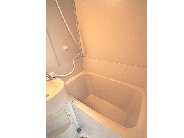 バス・シャワールーム　※別部屋の写真となります