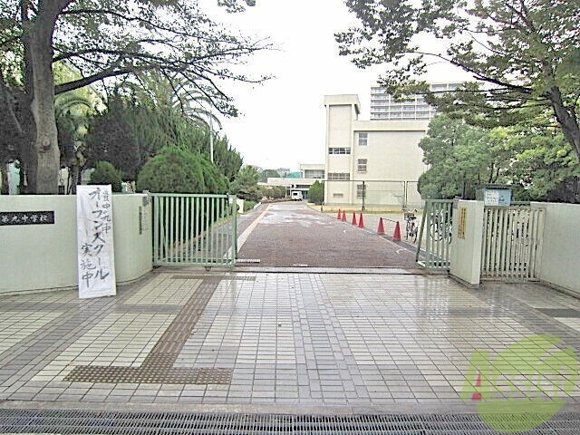中学校　豊中市立第九中学校（中学校）まで501m