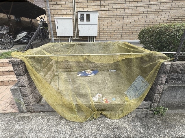 SUNNYCORUTのその他写真