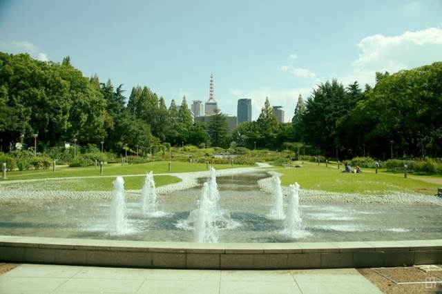 公園　靱公園（公園）まで774m