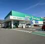 スーパー　スーパーエバグリーン橋本店（スーパー）まで556m