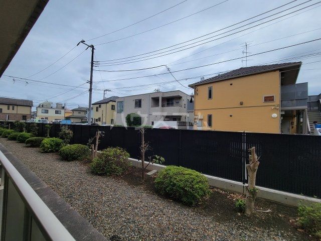 モアルヤタ藤のその他写真