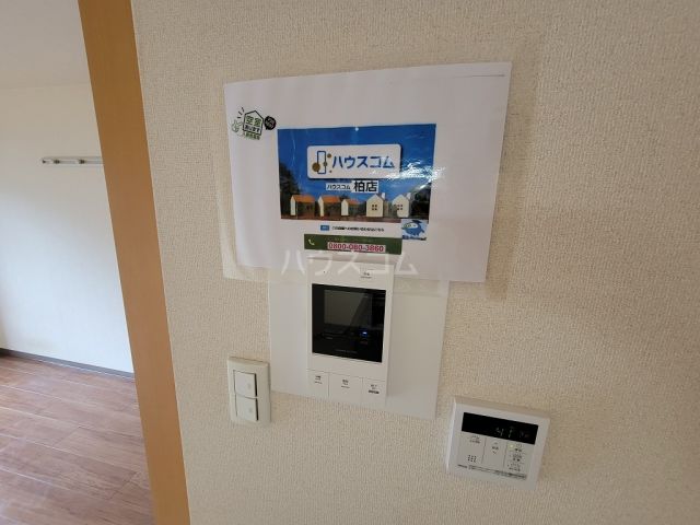 モアルヤタ藤のその他写真