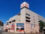 スーパー　東光ストア円山店（スーパー）まで335m