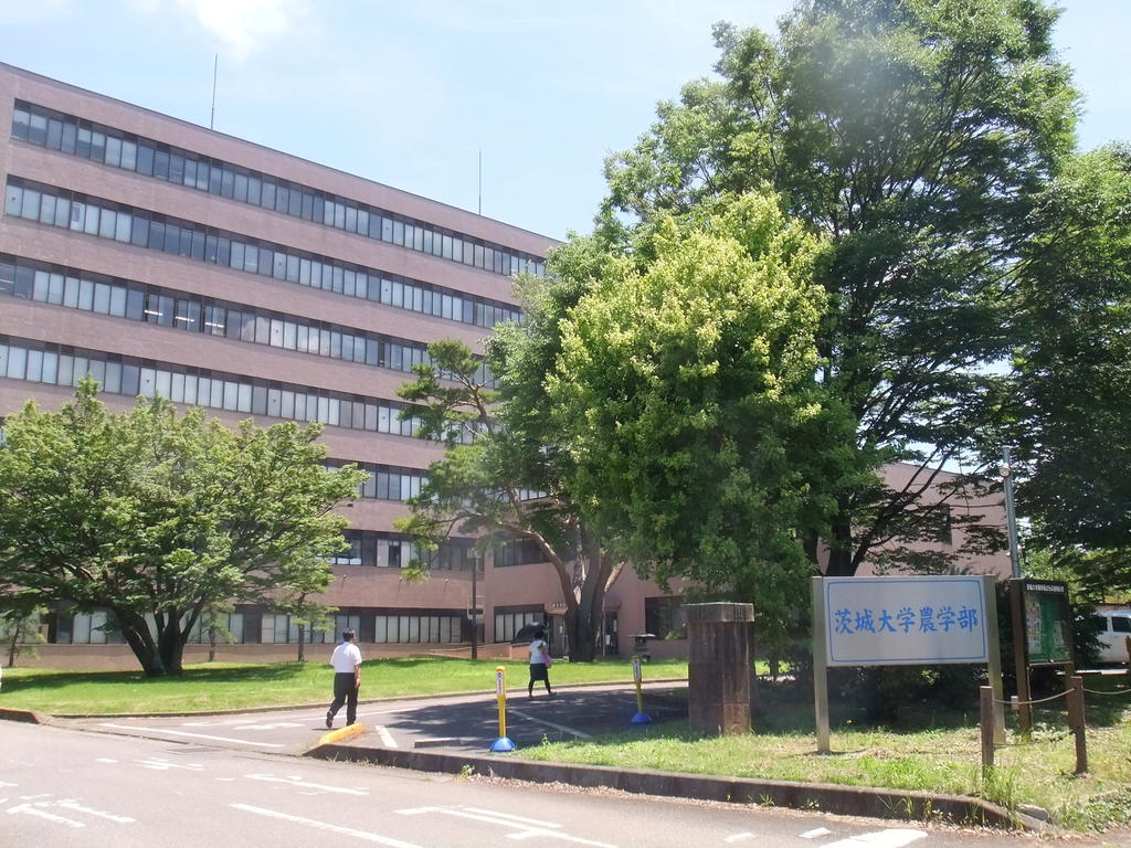 ＪＲ常磐線 荒川沖駅 バス乗車時間：15分 最寄りバス停で下車 徒歩3分 2階建 築33年の周辺写真