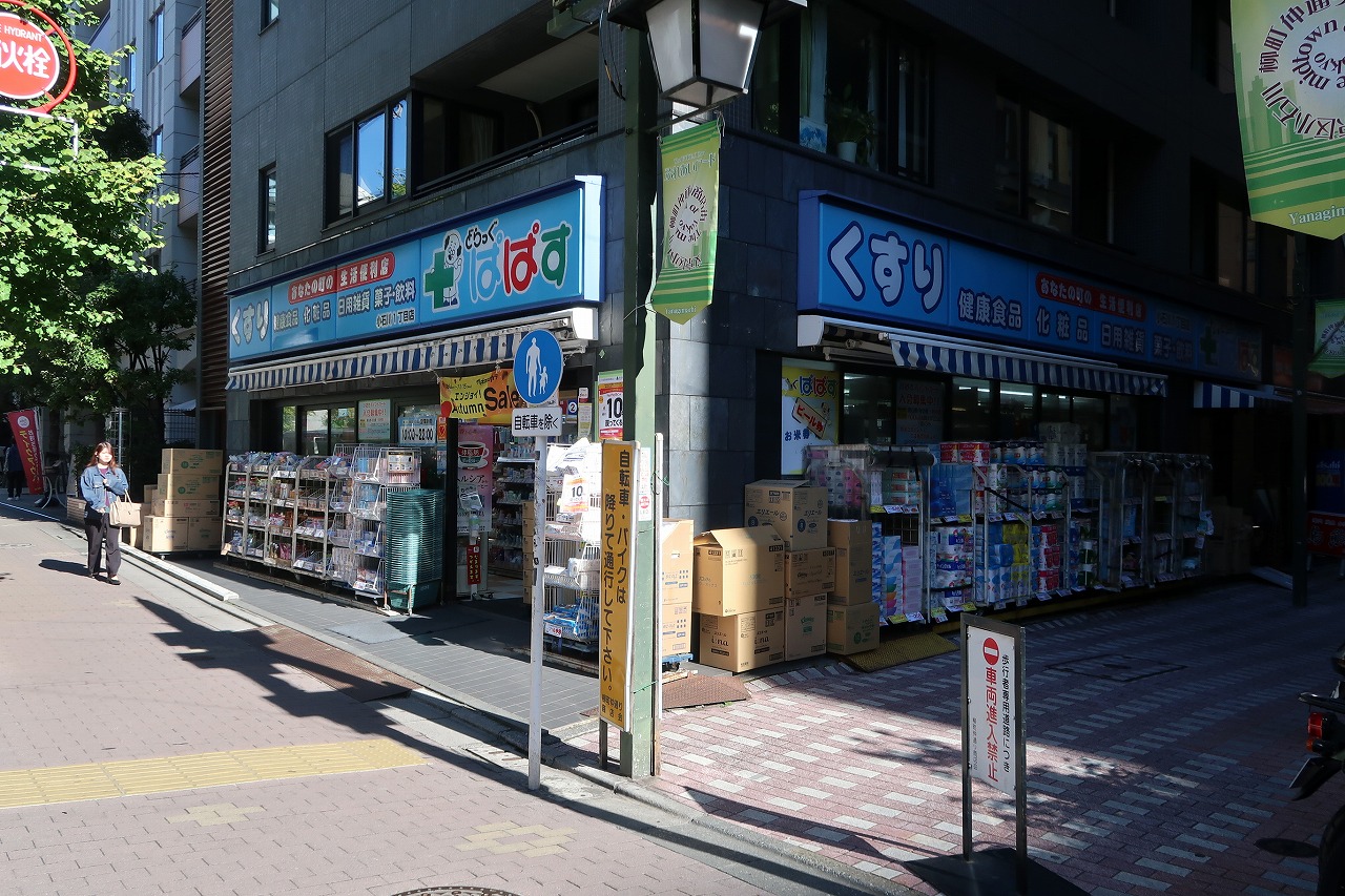 ドラックストア　どらっぐぱぱす小石川1丁目店（ドラッグストア）まで161m