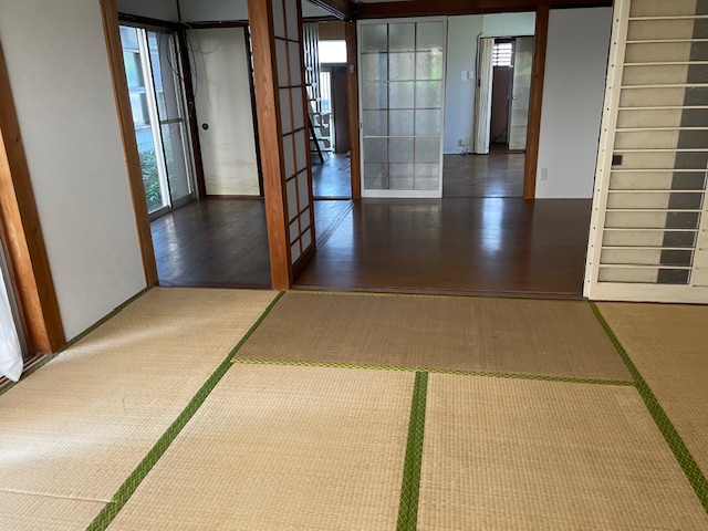 庭