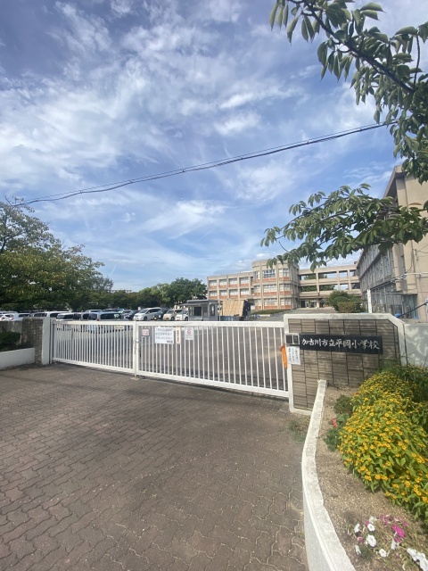 小学校　加古川市立平岡小学校（小学校）まで774m