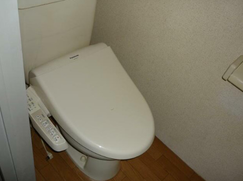 トイレ　トイレも気になるポイント