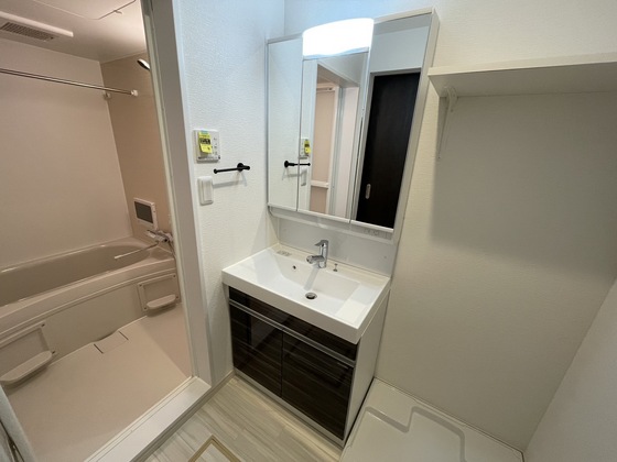 洗面設備　※別号室の写真です。