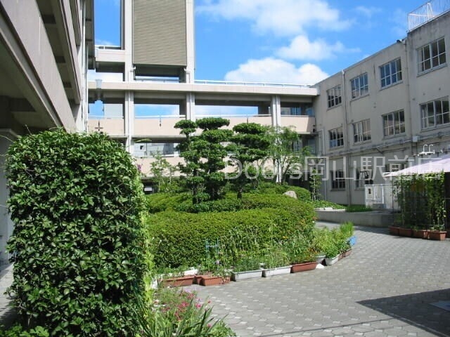 【岡山市北区高柳西町のマンションの小学校】