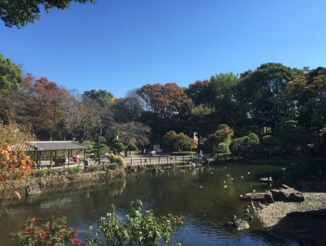 【品川区西品川のマンションの公園】