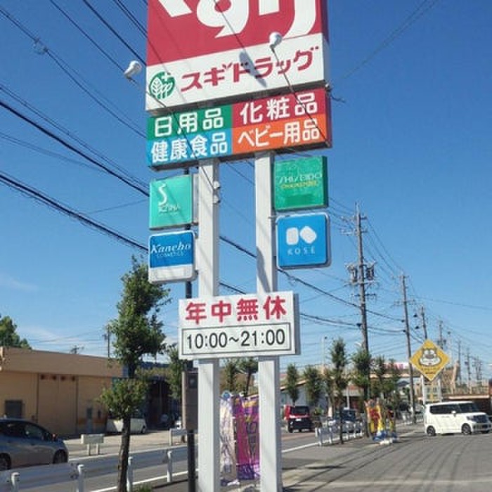 ドラックストア　スギ薬局 野田店（ドラッグストア）まで541m