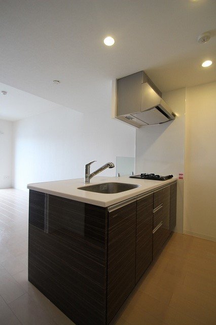 キッチン　同物件別号室の写真