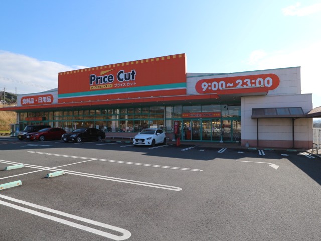 スーパー　プライスカット（スーパー）まで1012m