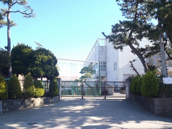 小学校　茅ヶ崎市立松浪小学校（小学校）まで584m