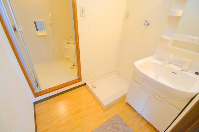 洗面設備　シャワー付きの洗面台です。