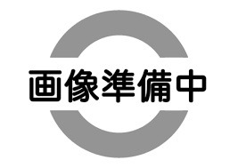 ビューフラット宮の沢_その他_3
