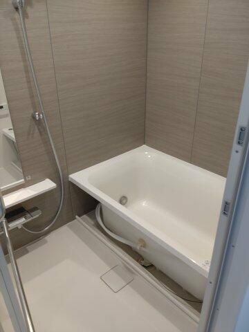 バス・シャワールーム　落ち着いた空間のお風呂です