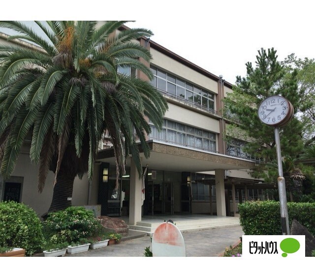 小学校　和歌山市立太田小学校（小学校）まで978m