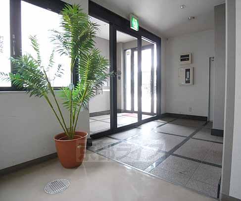 ロビー　観葉植物が素敵です。